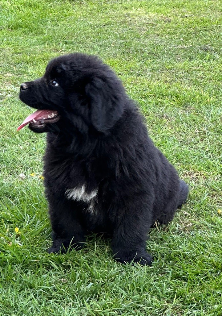 Vanille Du Hameau Des Nours