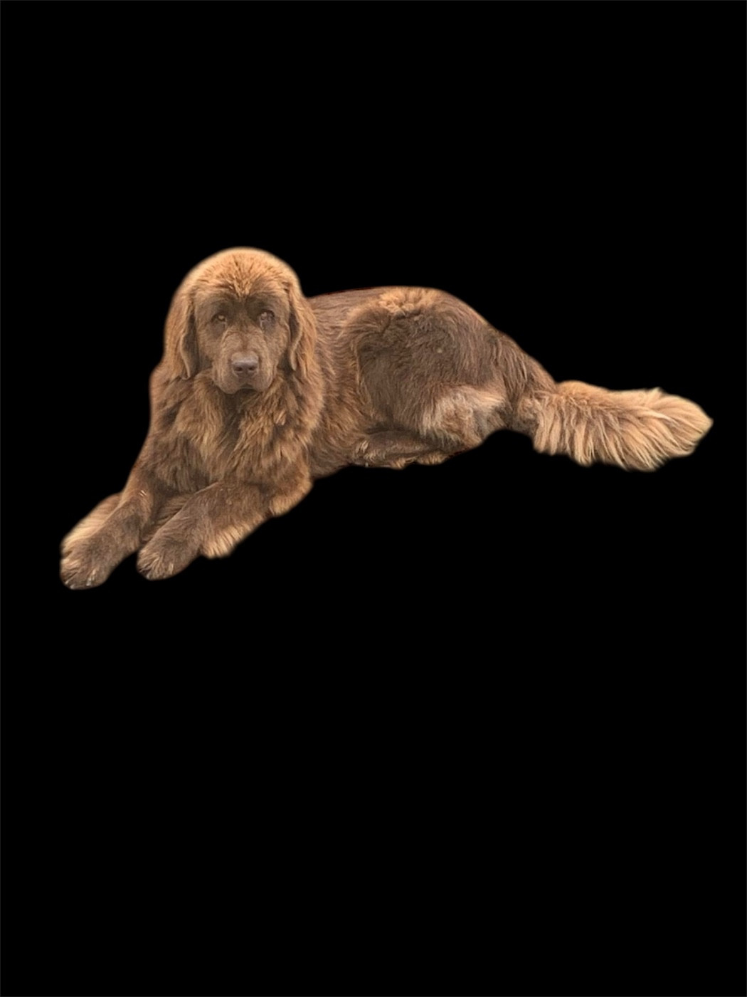 Thais Du Hameau Des Nours