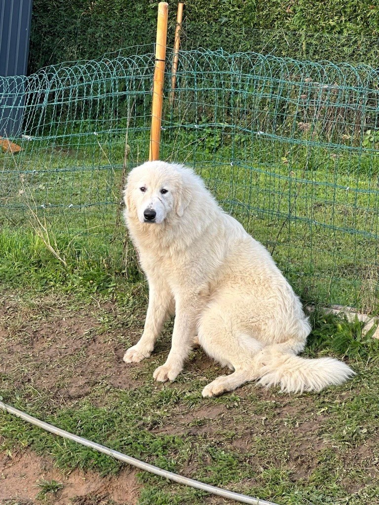 Tennessee Du Hameau Des Nours