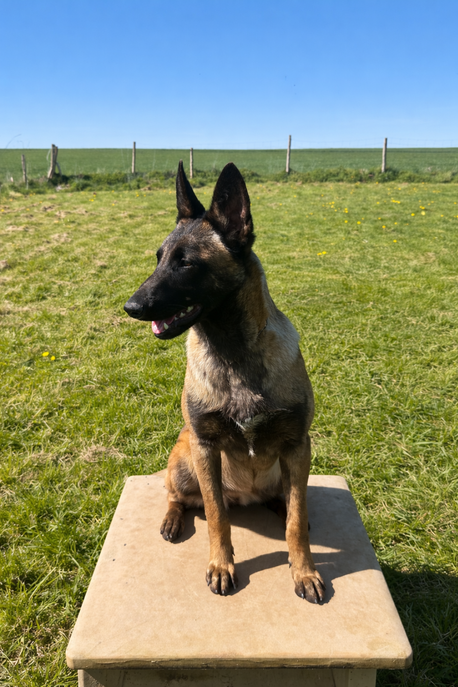 Ash des gardiens du triskel