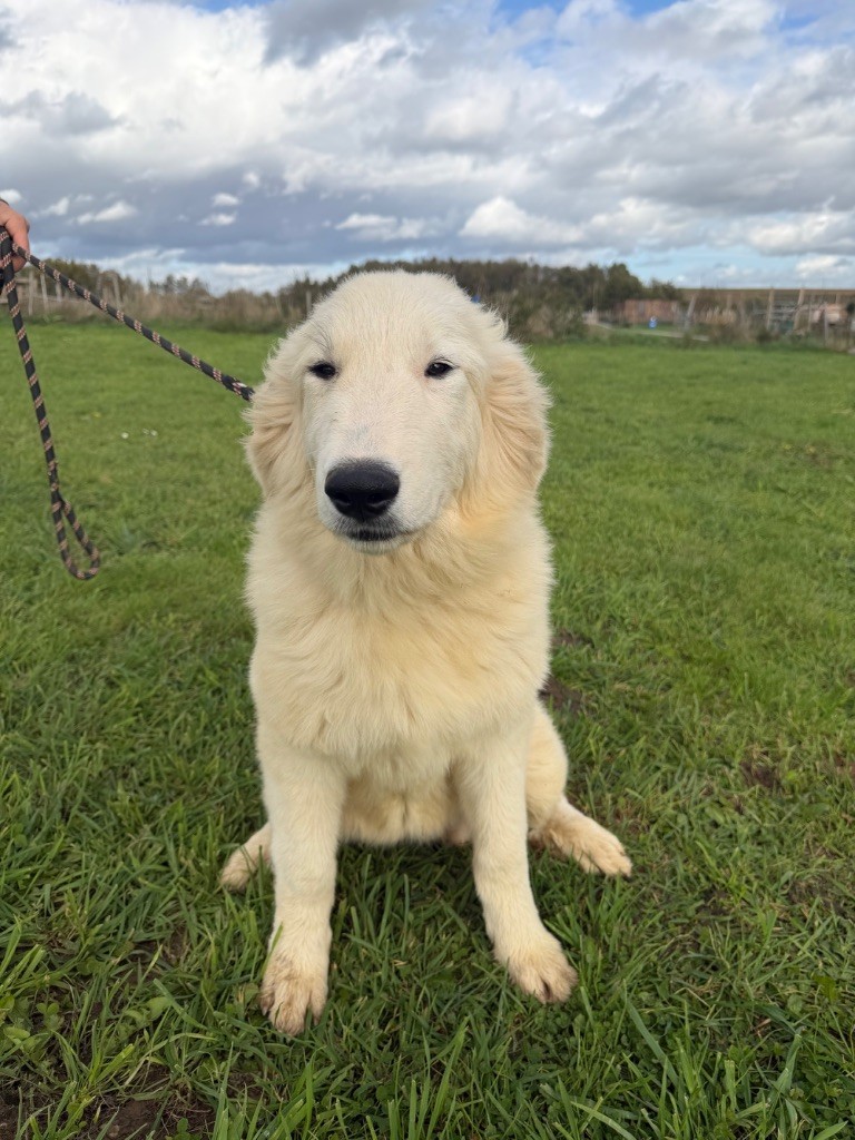 Amour Du Hameau Des Nours