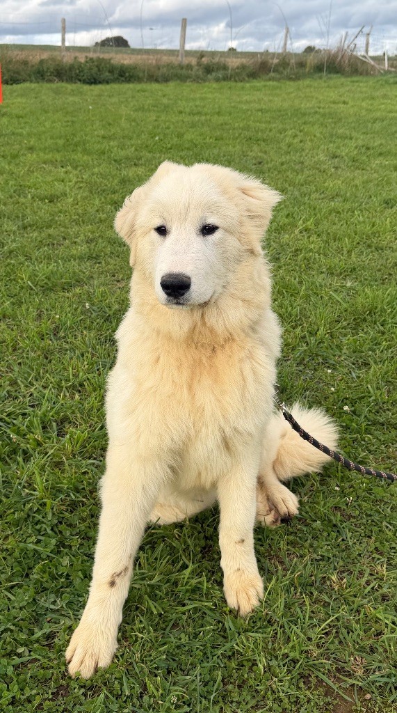 Ades Du Hameau Des Nours