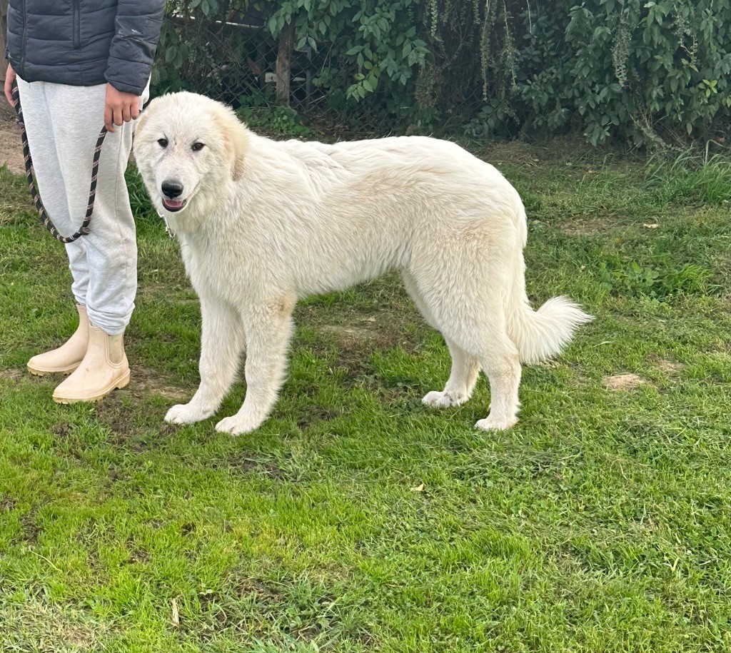 Atlas de la vallée des viaducs