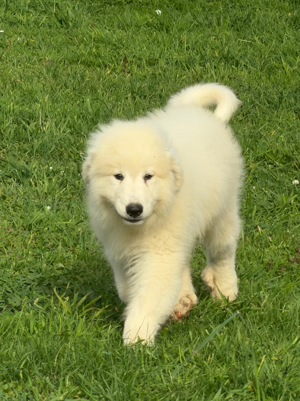 On recherche notre famille