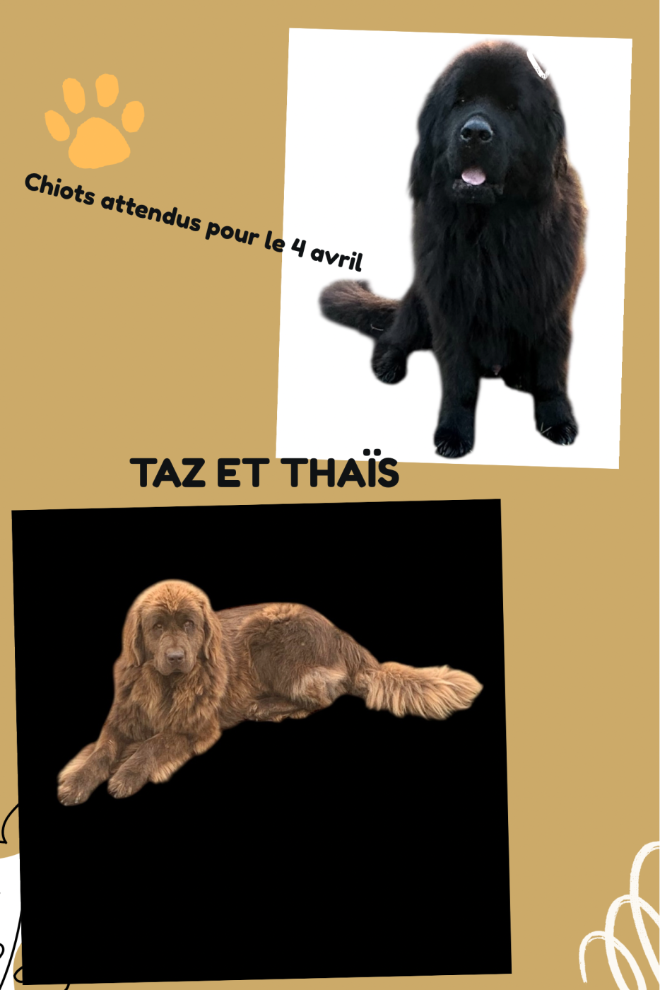 Bébé attendu pour le 4 avril