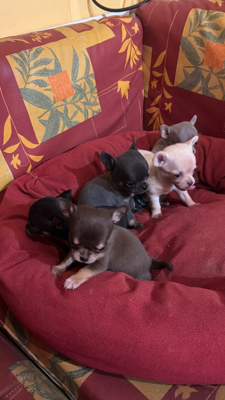 Bébé attendu vers le 4 avril