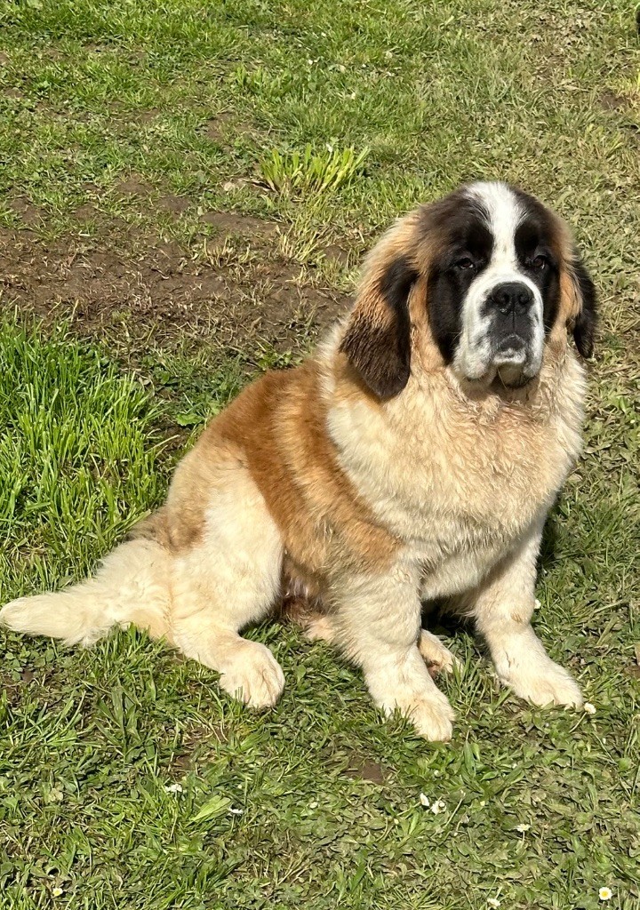 Urika
